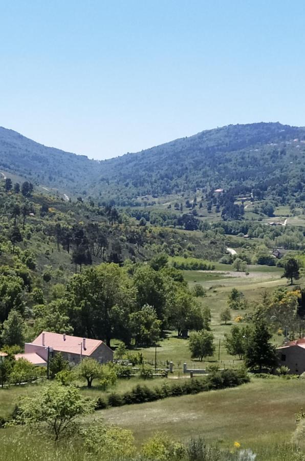 Turismo Rural Macieira Brava Guarda Zewnętrze zdjęcie