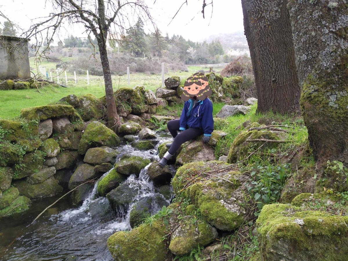 Turismo Rural Macieira Brava Guarda Zewnętrze zdjęcie