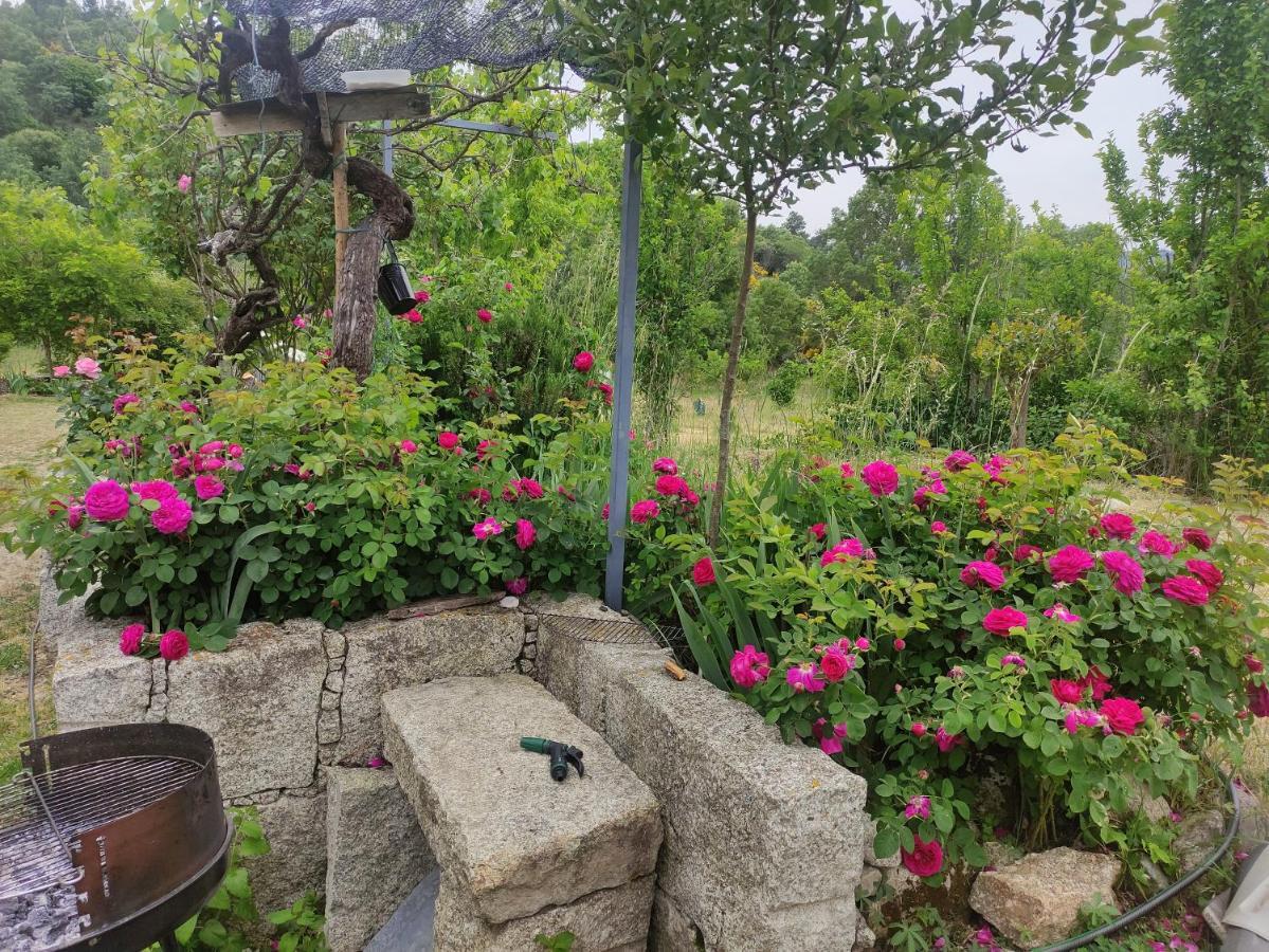 Turismo Rural Macieira Brava Guarda Zewnętrze zdjęcie