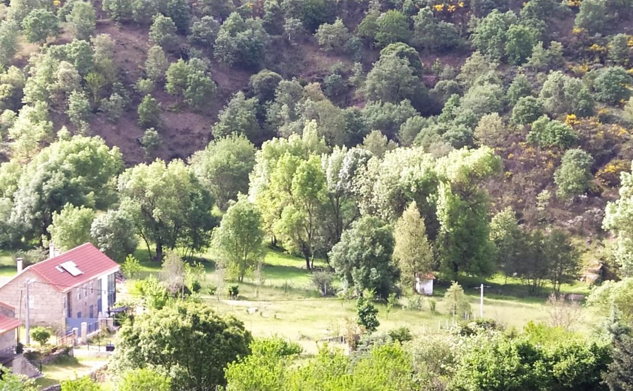 Turismo Rural Macieira Brava Guarda Zewnętrze zdjęcie
